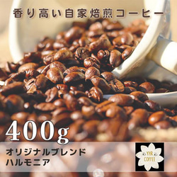 YHR-COFFEE 自家焙煎 コロンビア ウィラ クラシックW 300g | 花の香り