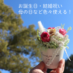  第11張的照片