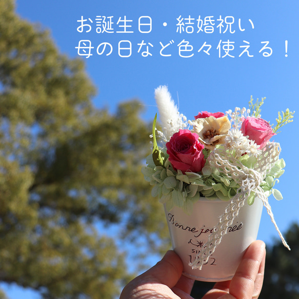  第11張的照片