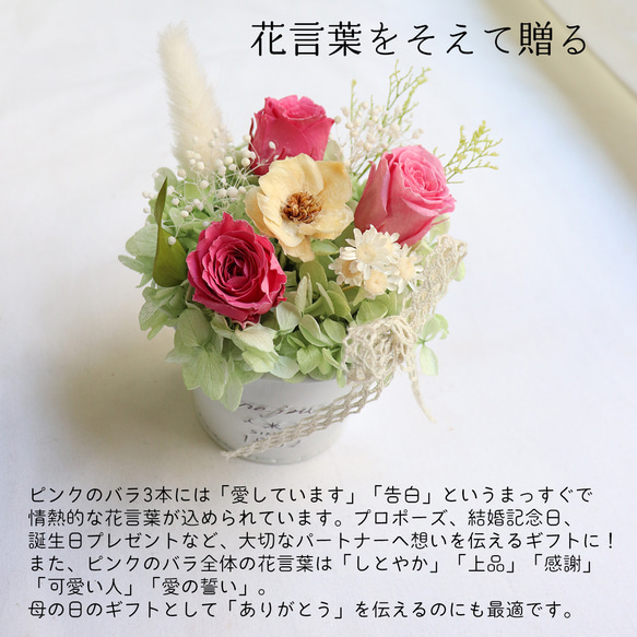  第4張的照片