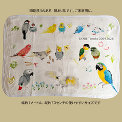 p-jet ほわっとした セキセイインコ ルチノー の ミニバッグ / サブ