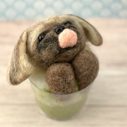 ペキニーズ ぬいぐるみ のおすすめ人気通販 検索結果｜Creema(クリーマ