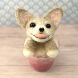 羊毛フェルト チワワ のおすすめ人気通販 検索結果｜Creema(クリーマ