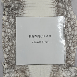 ワニ革 クロコ ヒマラヤ ナチュラル No.C009652 7枚目の画像
