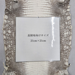 ワニ革 クロコ ヒマラヤ ナチュラル No.C009653 7枚目の画像
