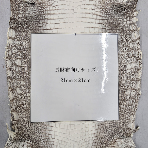 ワニ革 クロコ ヒマラヤ ナチュラル No.C009653 7枚目の画像
