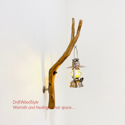 流木インテリア ランプや小物を飾れる天然流木の壁掛けスタンド ランタン 置物 北欧 照明 自然 N29 1枚目の画像