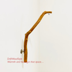 流木インテリア ランプや小物を飾れる天然流木の壁掛けスタンド ランタン 置物 北欧 照明 自然 N30 14枚目の画像