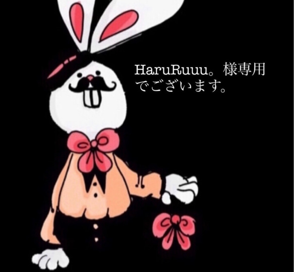 HaruRuuu。様専用 1枚目の画像