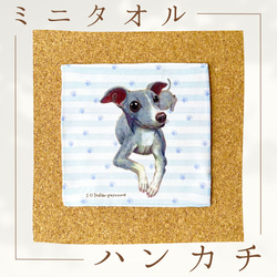 ポメラニアン】ハンカチタオルラッピング対応プレゼントにも♪ その他