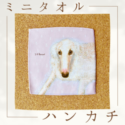 ポメラニアン】ハンカチタオルラッピング対応プレゼントにも♪ その他