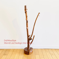 枝が斜めに伸びる流木スタンド ランタンやエアプラントを飾れる置物 N118 13枚目の画像