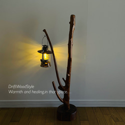 枝が斜めに伸びる流木スタンド ランタンやエアプラントを飾れる置物 N118 11枚目の画像