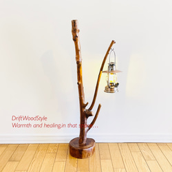 枝が斜めに伸びる流木スタンド ランタンやエアプラントを飾れる置物 N118 1枚目の画像