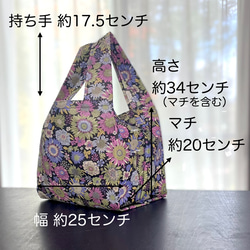  第15張的照片