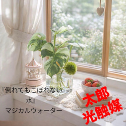 光触媒 人工観葉植物 ウォールグリーン フェイク フラワー50561 その他