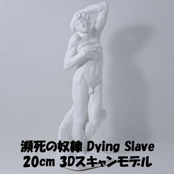 ミロのヴィーナス(高さ20cm) 石膏像 デッサン ホワイト インテリア