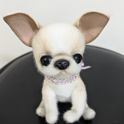チワワ ぬいぐるみ のおすすめ人気通販 検索結果｜Creema(クリーマ