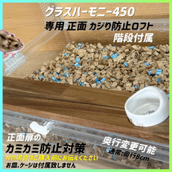 ハムスター グラスハーモニー450 カジカジ カミカミ防止ロフト 階段