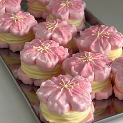 kikisquishy 桜 季節 限定 ケーキ 食品袋 スクイーズ ピンク 春 kikisquishy 桜 もも ケーキ 春ピンク ぼやぼや袋 L スクイーズ 完売品