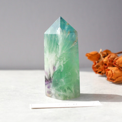 最高級品質 トラピッチェアメジスト 大粒 超美品 天然石 鉱物 紫水晶