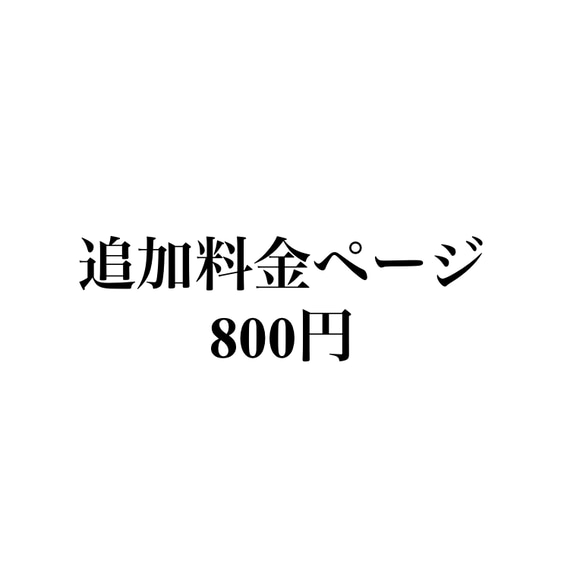 追加料金ページ【800円】 1枚目の画像