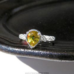 スフェーン リング / Gem and Botanical Sphene Ring 247 指輪・リング