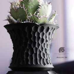 鉢 塊根植物 グラキリス 3D雑貨 オブジェ インテリア 3dフィギュア