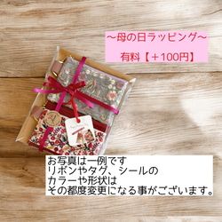 【母の日ギフト】カーネーション/インド刺繍×帆布◆カラビナ付きフラットポーチ/マルチケース 12枚目の画像