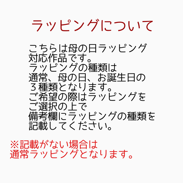 【母の日ギフト】カーネーション/インド刺繍×帆布◆カラビナ付きフラットポーチ/マルチケース 10枚目の画像