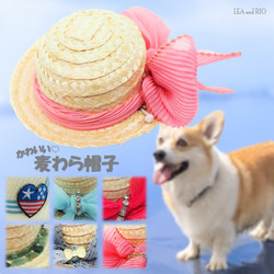 犬 麦わら帽子 のおすすめ人気通販 検索結果｜Creema(クリーマ