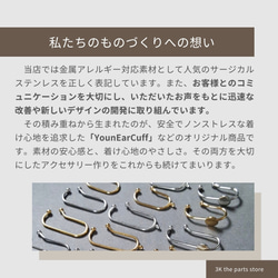 第11張的照片