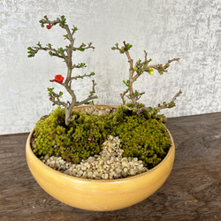 光触媒 人工観葉植物 ウォールグリーン フェイクグリーン フレッシュ