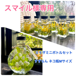 桜ハーバリウム ネコ瓶 Mサイズ ハーバリウム・植物標本 nekonote_mie