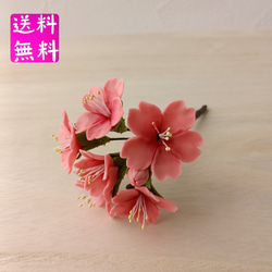 粘土の桜ピック 樹脂粘土の花 淡いピンクでお花見 送料無料 アート
