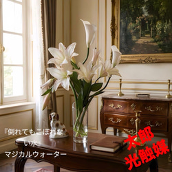 光触媒 人工観葉植物 ウォールグリーン フェイクグリーン トネリココ