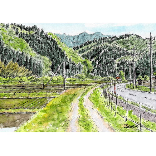原画一点物「田舎道」 ＜ペンスケッチ＋透明水彩＞ 絵画 Takashi.A