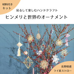 ヒンメリ用ストロー100本 その他素材 greenstyleforest 通販 13040456