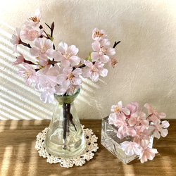 『数量限定1セットのみ 今月の一点もの』2種の桜MS2点セット マジカルウォーター インテリアフラワー 5枚目の画像
