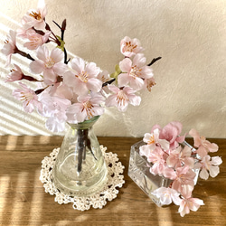 『数量限定1セットのみ 今月の一点もの』2種の桜MS2点セット マジカルウォーター インテリアフラワー 6枚目の画像