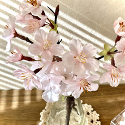 『数量限定1セットのみ 今月の一点もの』2種の桜MS2点セット マジカルウォーター インテリアフラワー 3枚目の画像