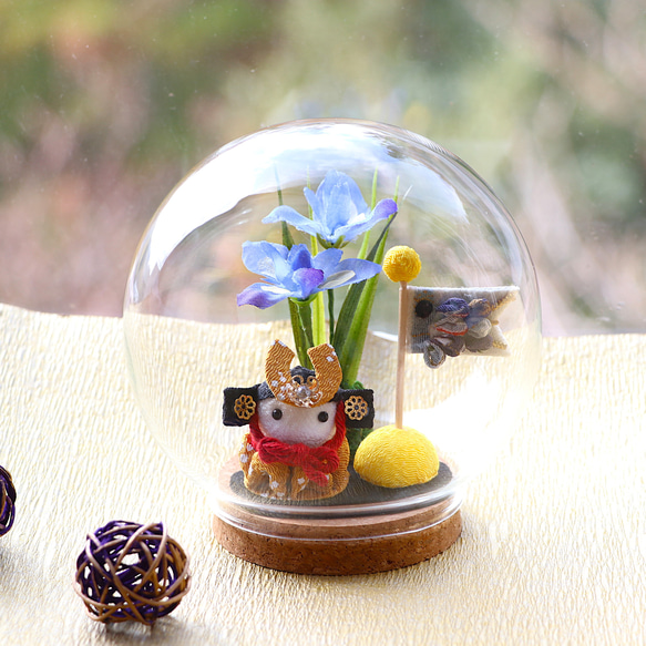 Creema限定】ガラスドームに入った五月人形と菖蒲の花 端午の節句 五月