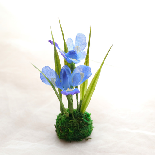 Creema限定】ガラスドームに入った五月人形と菖蒲の花 端午の節句 五月