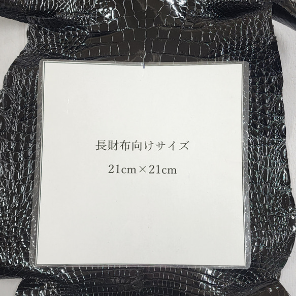ワニ革  グレージング仕上げ  黒　No.C009769 7枚目の画像