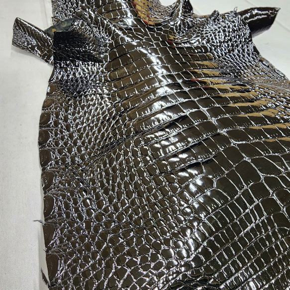 ワニ革  グレージング仕上げ  黒　No.C009780 13枚目の画像