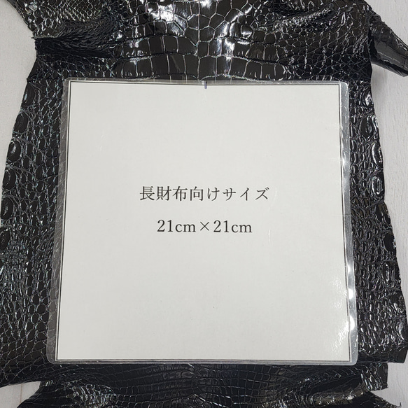 ワニ革  グレージング仕上げ  黒　No.C009780 7枚目の画像