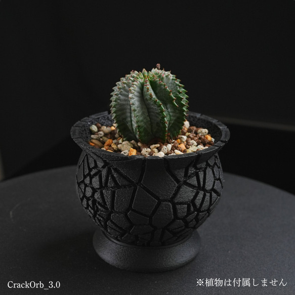 塊根植物・多肉植物向け 3号鉢 3Dメッシュ植木鉢 CrackOrb 3.0 マット
