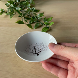 【再販】　盃　満開-full bloom-　桜-sakura-　冷感 5枚目の画像