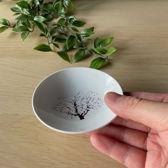 【再販】　盃　満開-full bloom-　桜-sakura-　冷感 5枚目の画像