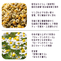 つまみ細工「カモミールのピンバッジ」 2枚目の画像